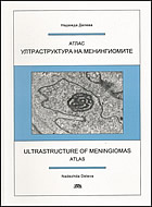 Ултраструктура на менингиомите - атлас