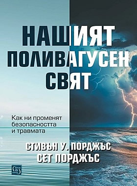 НАШИЯТ ПОЛИВАГУСЕН СВЯТ - Как ни променят безопасността и травмата